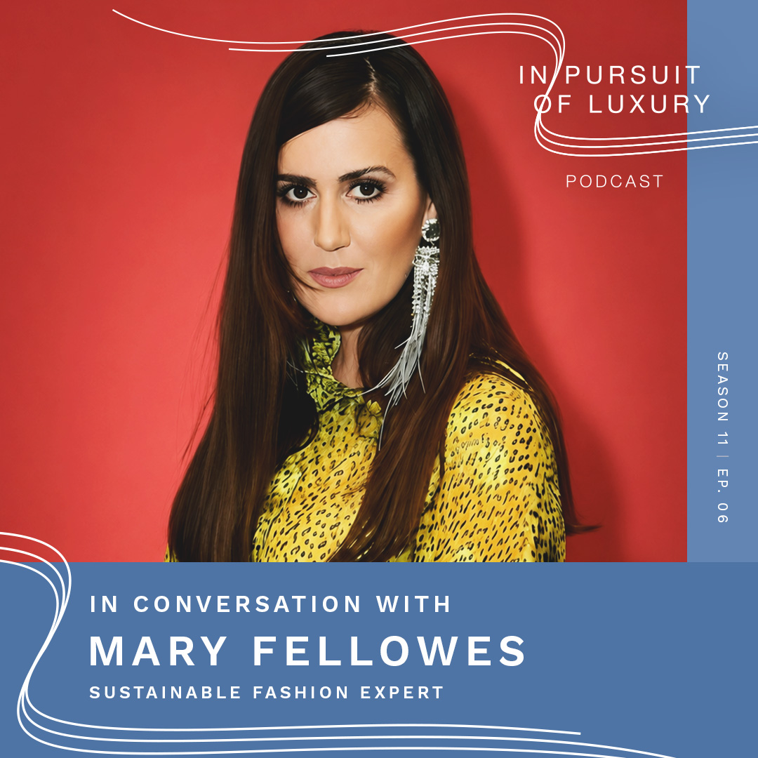 Cover art for episode: In conversation with Mary Fellowes